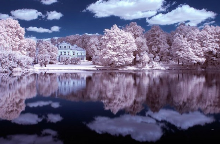 10462966_10153755555422530_7106538434999772568_n