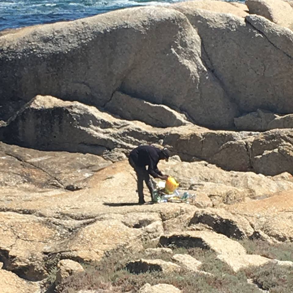 12801412_10156625802920615_9074462876159560785_n