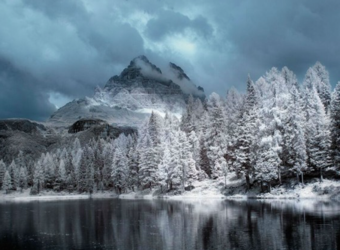 12809596_10153755555417530_283033611697754505_n