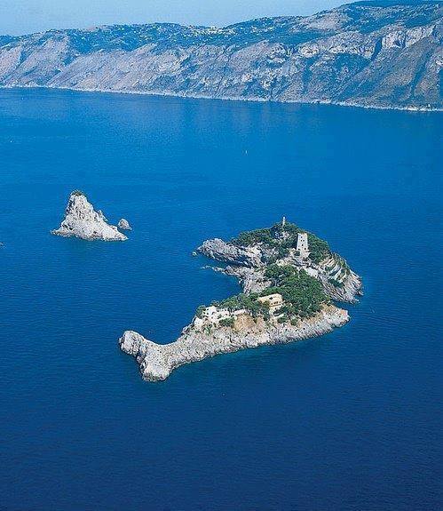 13450123_1230056363673502_142764038525963338_n