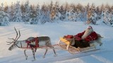 Corsa delle renne di Babbo Natale in Lapponia dall’alto – Rovaniemi – Finlandia