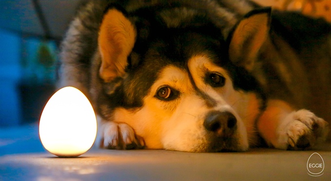 5e467ebd164f82aaa4b68379612c1298_original