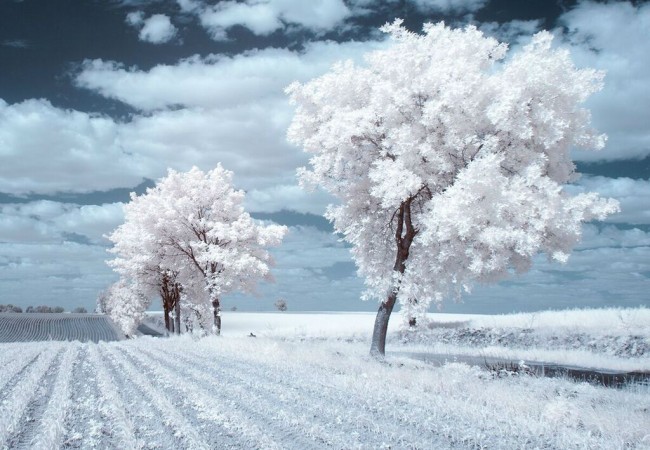 8-Przemek-infrarossi-650x450