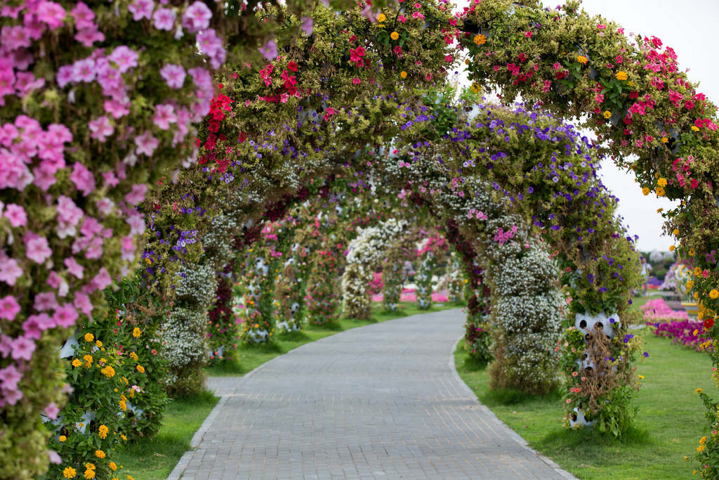 Miracle Garden Dubai
