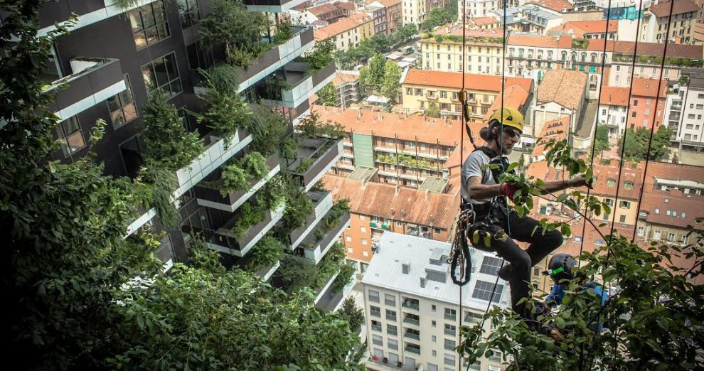 C__Data_Users_DefApps_AppData_INTERNETEXPLORER_Temp_Saved Images_133822023-c495fd25-f250-4618-9c38-e536289d7e78