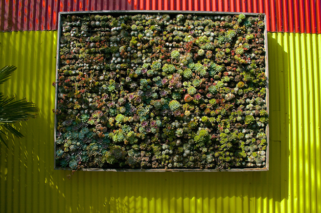 Flora-Grubb-Gardens-succulent-panel-photo-Marie-Cameron-2015