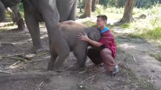 L’elefantino che vuole essere preso in braccio!