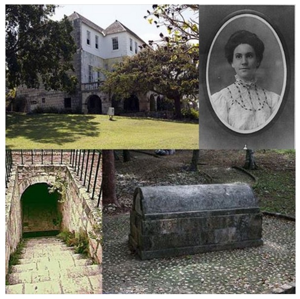 anni_palmer_la_strega_bianca_