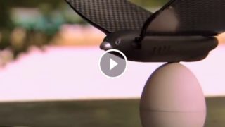 Un drone bionico che sembra un vero uccello. Pronti a far impazzire il vostro gatto?