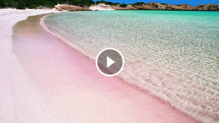 È italiana la spiaggia rosa più bella del mondo