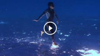 Questo è il video subacqueo più straordinario di sempre. E non ha effetti speciali