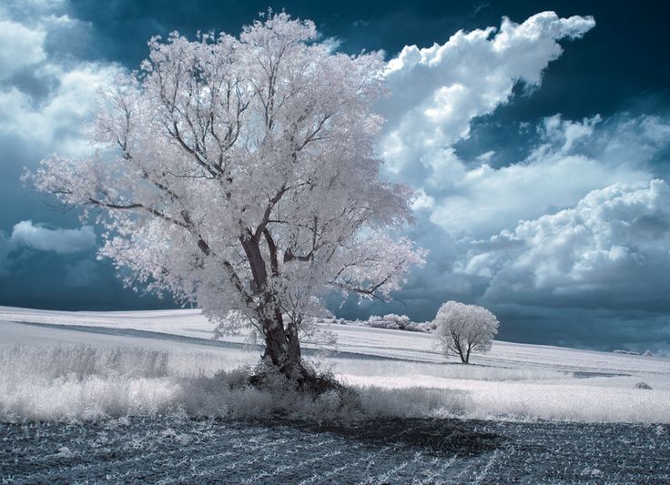 d76a76b378c89f7cd485f7d1396d106e