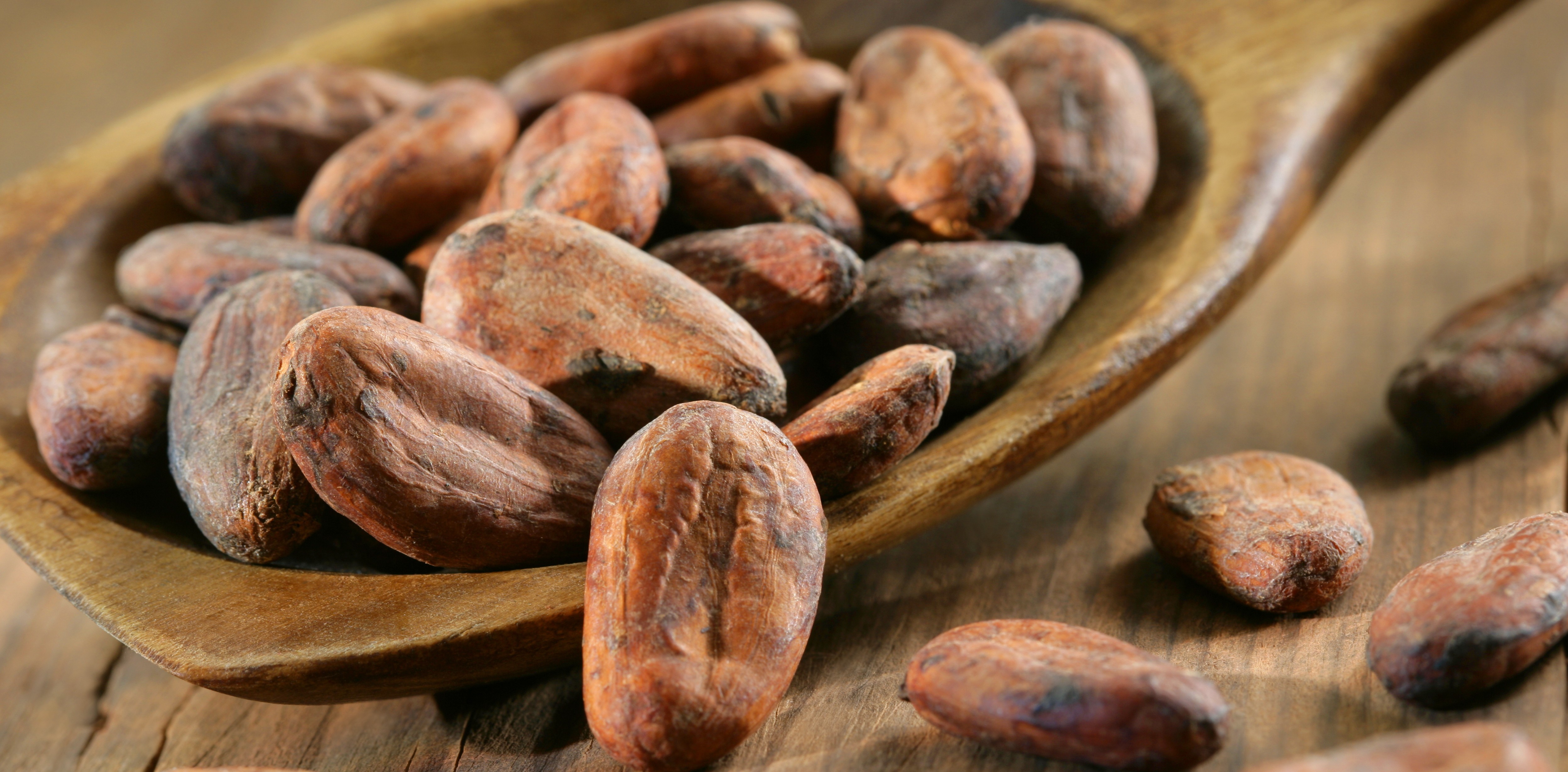 fève-cacao-e1414492187495