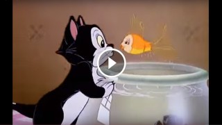 Il bacio ittico tra Figaro e Cleo