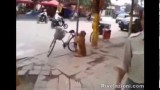 Il cane antifurto fa la guardia alla bici del padrone