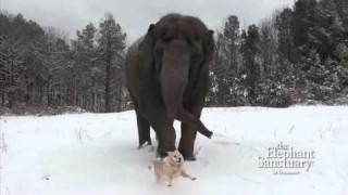 In amicizia non contano le dimensioni, neanche sulla neve!