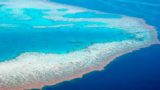 Le barriere coralline più belle del mondo