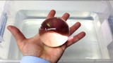 Le incredibili palle di polimeri trasparenti le puoi acquistare qui