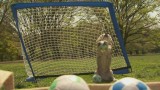 Purin, il beagle para 14 mini palloni in un minuto: nuovo record!