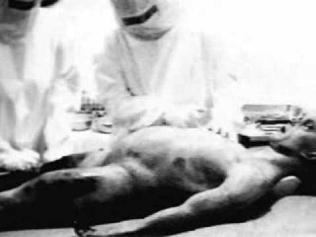 roswell-ufo-crash-alien-military-autopsy-photo-pic