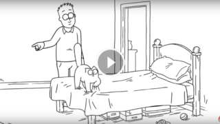 Come rifare il letto con in casa un gatto? Nessun problema, ecco come fare
