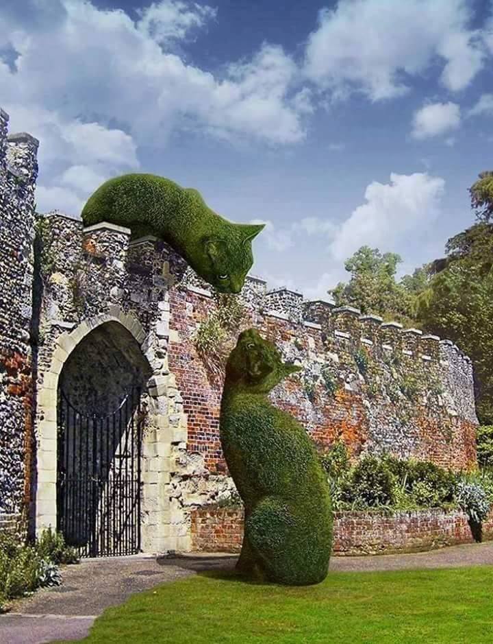 topiary-cat_009