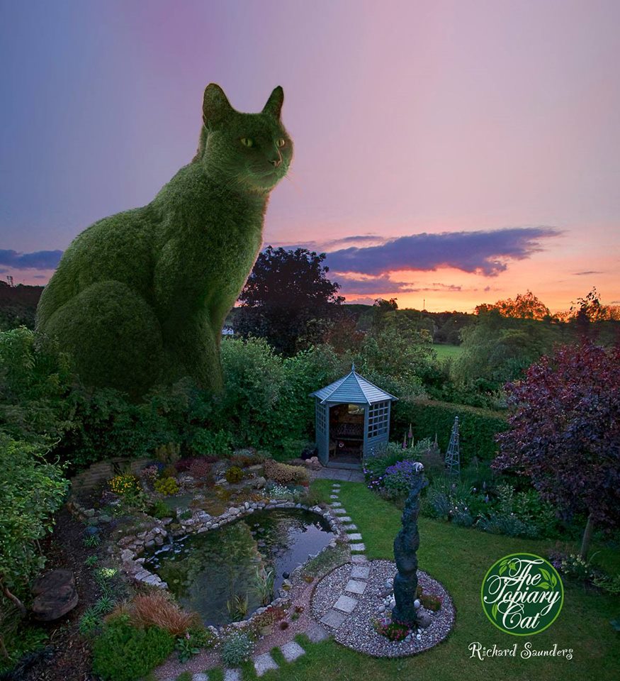topiary-cat_015