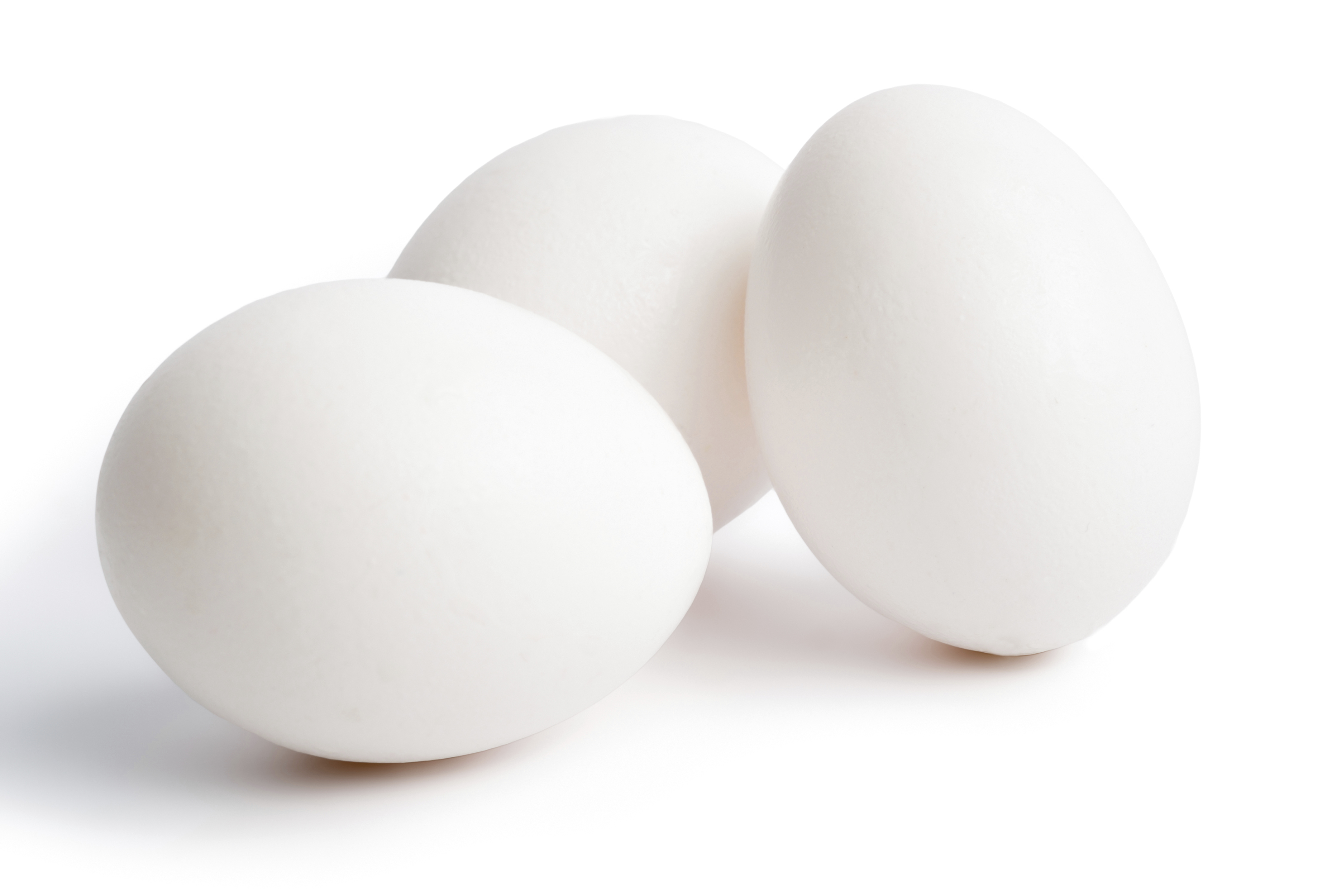 Eggs Isolated on a White Background