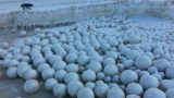 Il mistero delle migliaia palle di neve giganti sulle sponde del Golfo di Ob in Russia