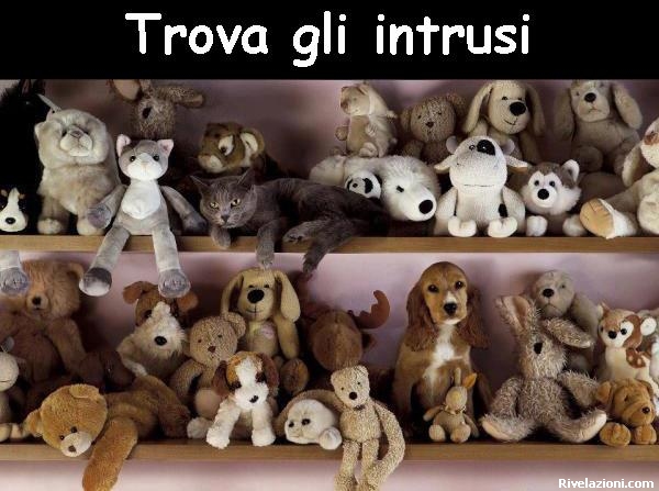 trova_intruso