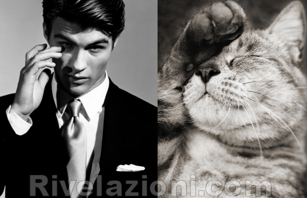 uomo_verso_gatto