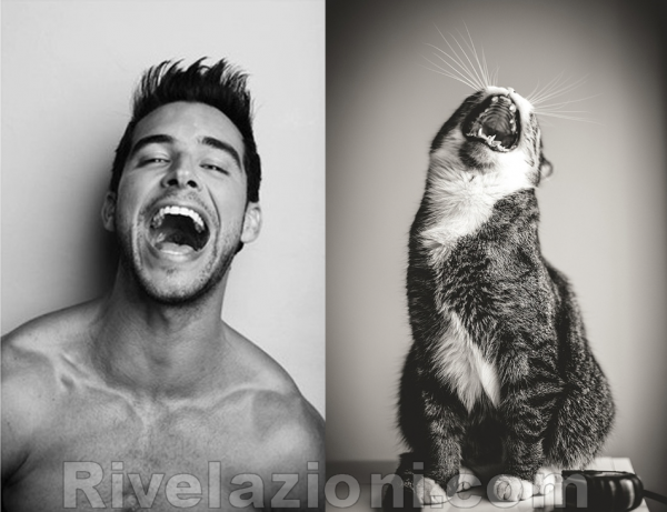 uomo_verso_gatto