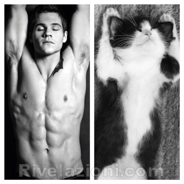 uomo_verso_gatto