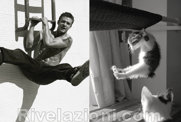 uomo_verso_gatto