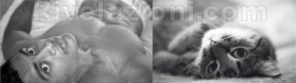 uomo_verso_gatto