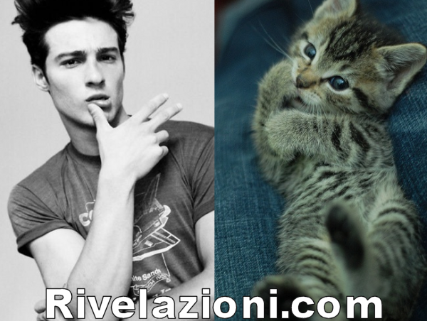 uomo_verso_gatto