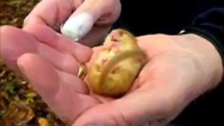 PICCOLO GHIRO CHE DORME…. E RUSSA ;-)