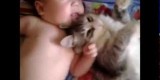 Anche i gatti amano i bambini